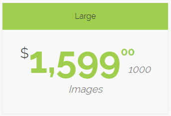 Large $1,599 / 1000 images