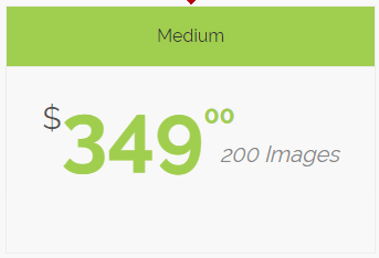 Medium $349 / 200 images